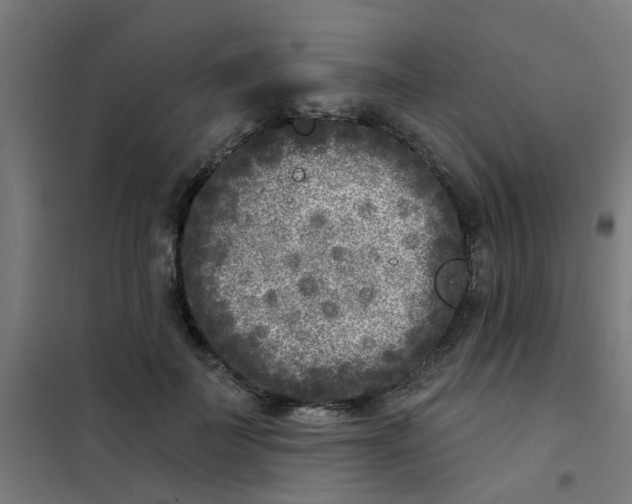 X0000101700699200807241432