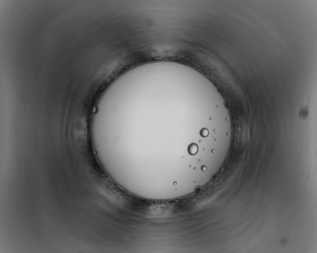 X0000101700700200807241432