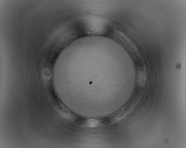 X0000101700701200807241432