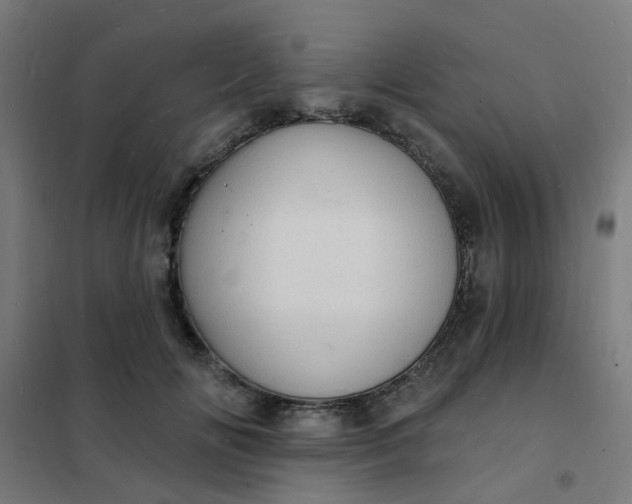 X0000101700702200807241432