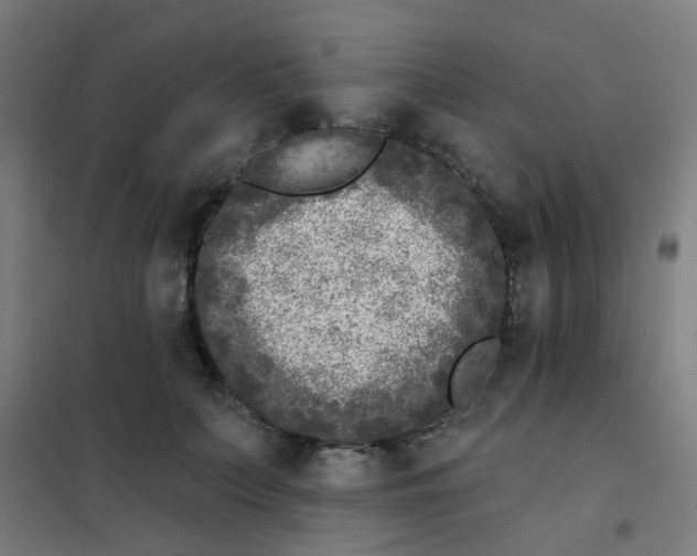 X0000101700703200807241432