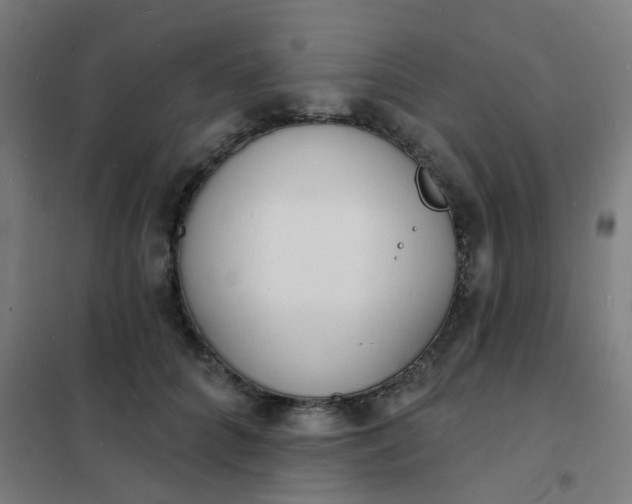 X0000101700704200807241432