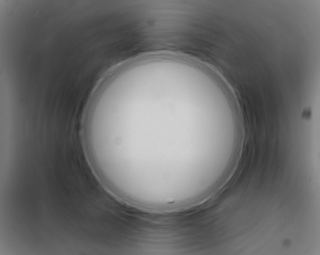 X0000101700705200807241432