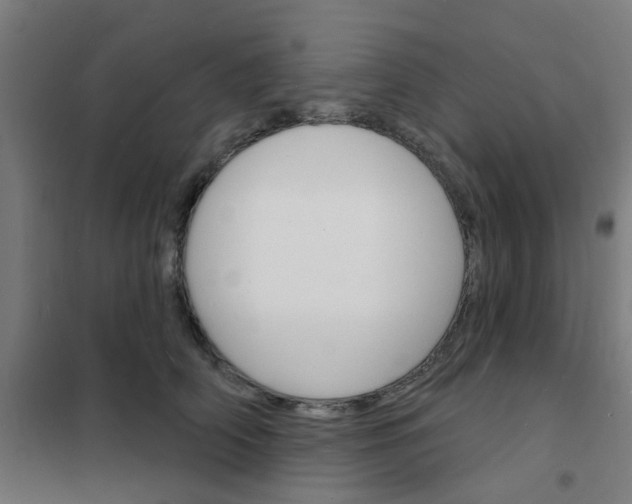 X0000101700706200807241432