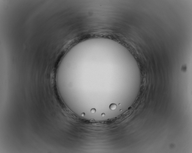 X0000101700708200807241432