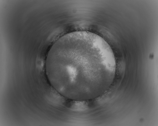 X0000101700709200807241432