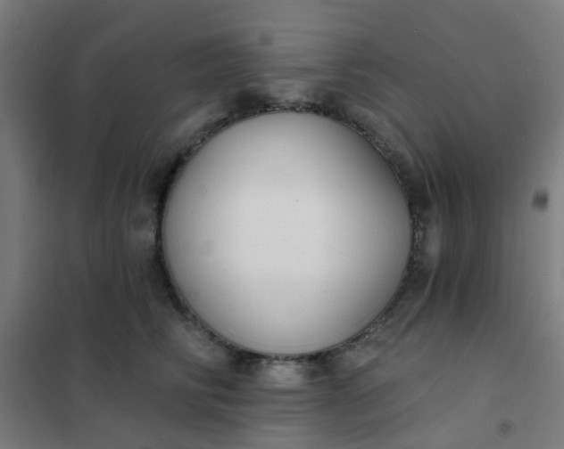 X0000101700710200807241432