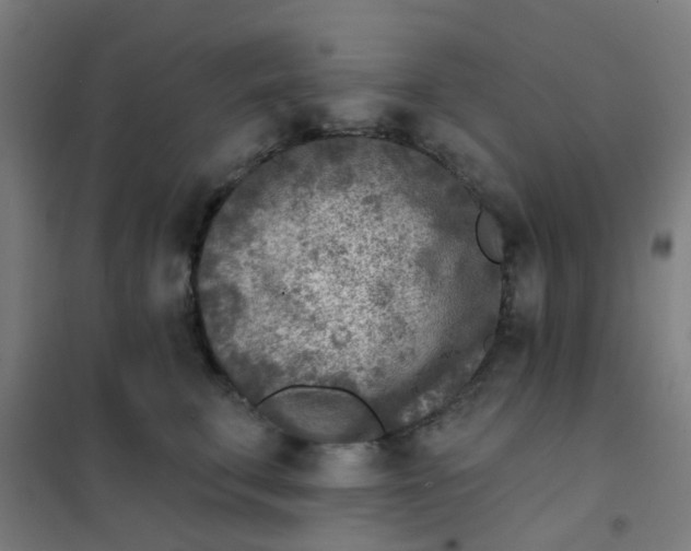 X0000101700711200807241432