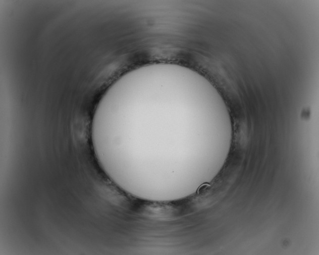 X0000101700712200807241432