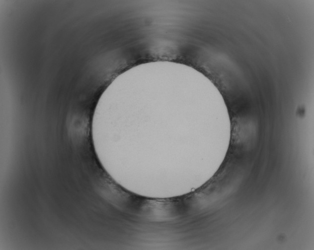 X0000101700713200807241432