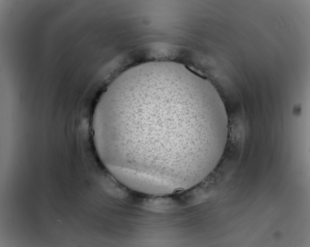 X0000101700716200807241432