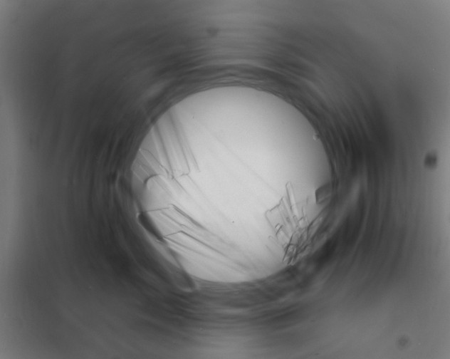 X0000101700717200807241432