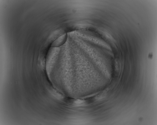 X0000101700718200807241432