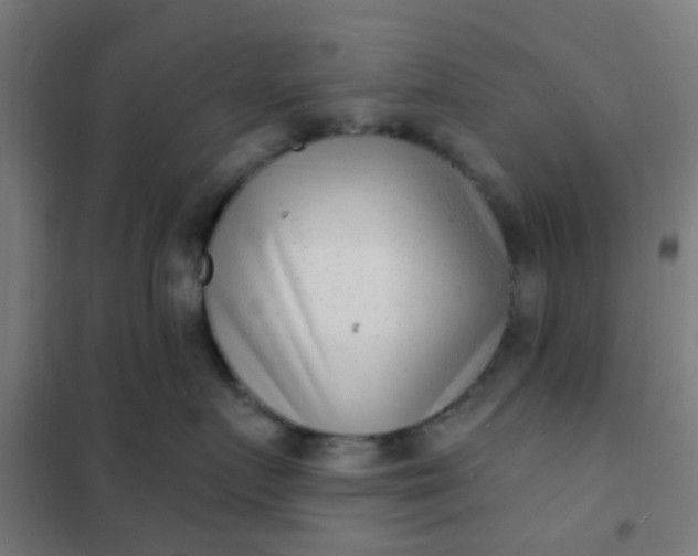 X0000101700719200807241432