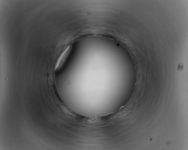 X0000101700720200807241432