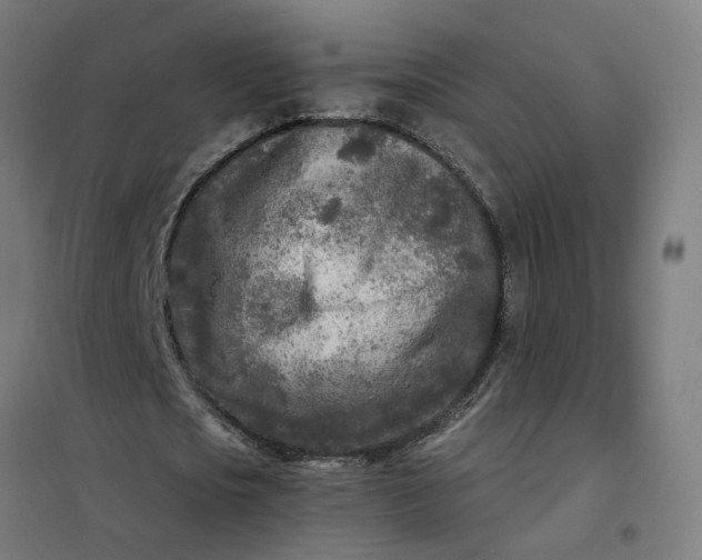 X0000101700721200807241431