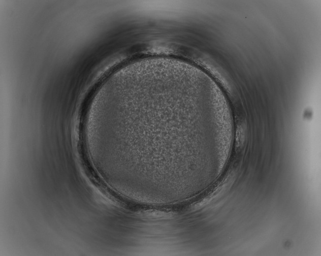 X0000101700722200807241431