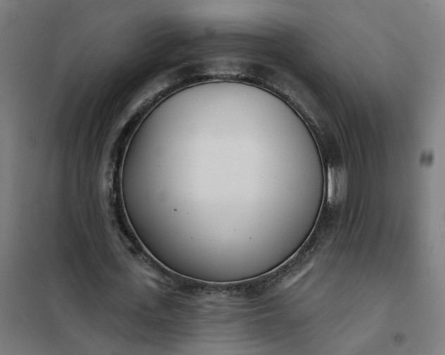 X0000101700723200807241431