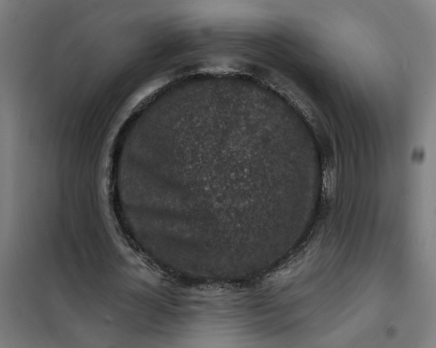 X0000101700724200807241431