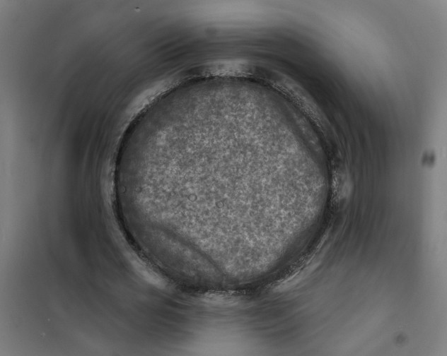 X0000101700725200807241431