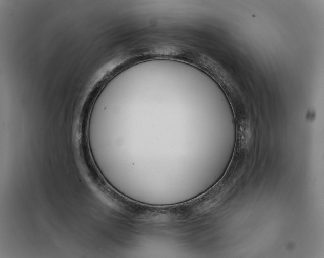 X0000101700726200807241431