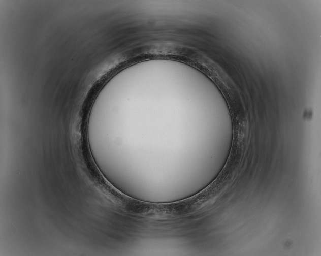 X0000101700727200807241431