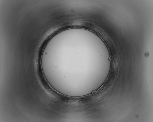 X0000101700728200807241431