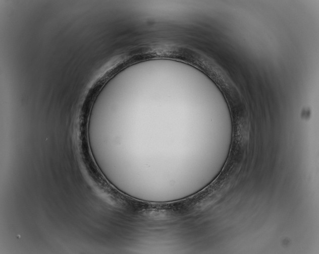 X0000101700730200807241431