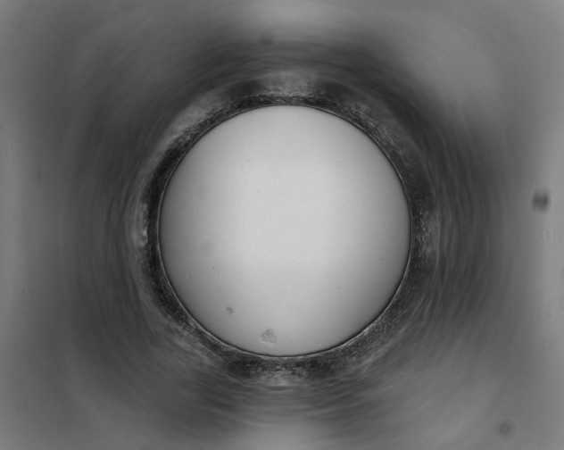 X0000101700731200807241431