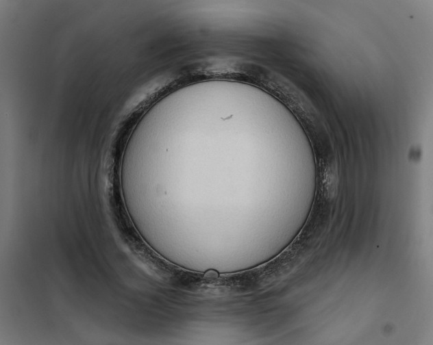 X0000101700732200807241431