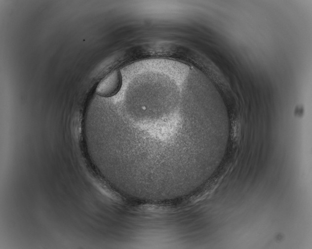 X0000101700733200807241431