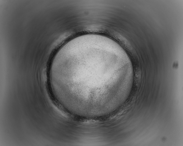 X0000101700734200807241431