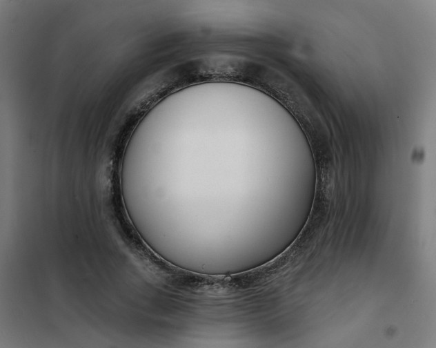 X0000101700735200807241431