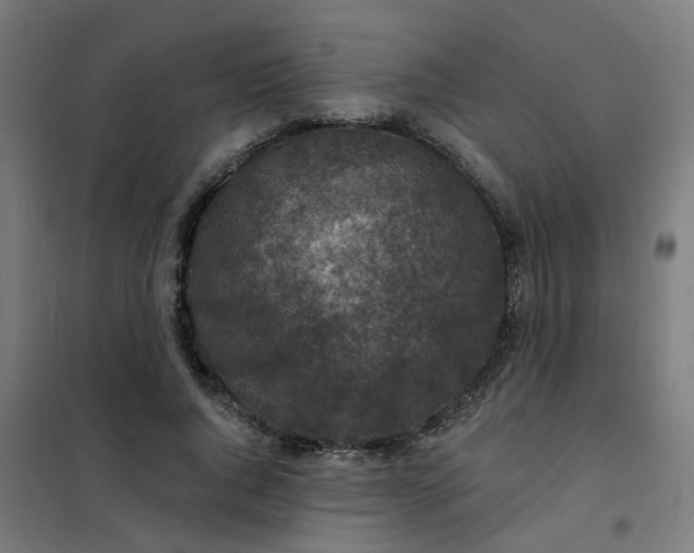 X0000101700736200807241431