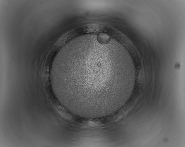 X0000101700737200807241431