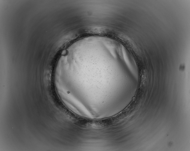 X0000101700739200807241431