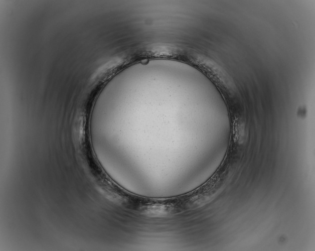 X0000101700740200807241431