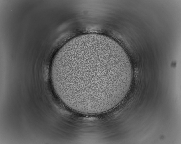 X0000101700741200807241431