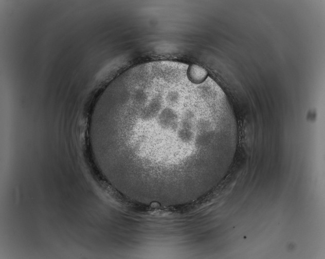 X0000101700742200807241431