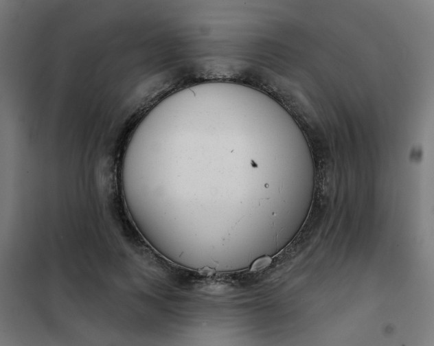 X0000101700743200807241431