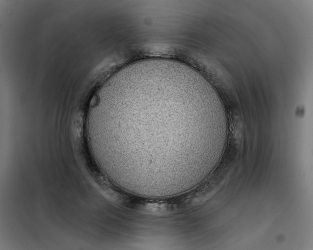 X0000101700744200807241431