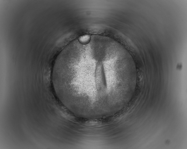 X0000101700745200807241431