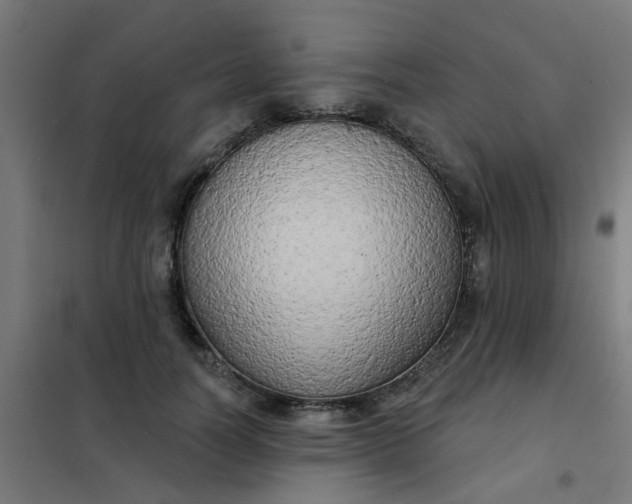 X0000101700746200807241431