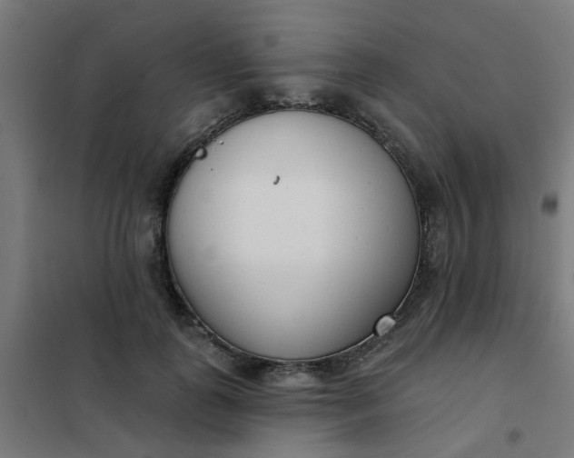 X0000101700747200807241431