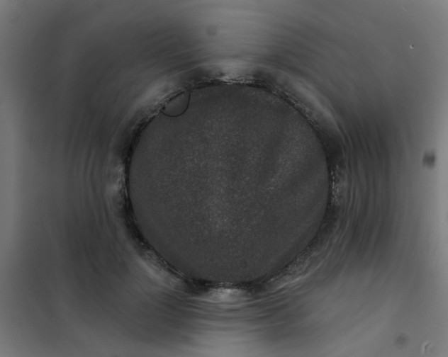 X0000101700748200807241431