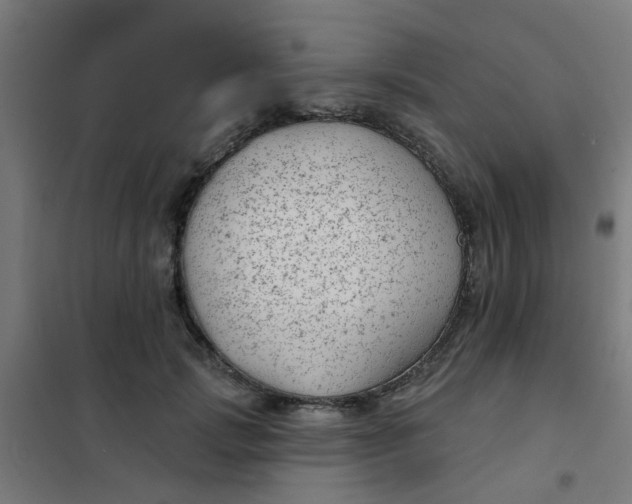 X0000101700749200807241431