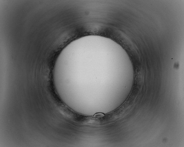 X0000101700750200807241431