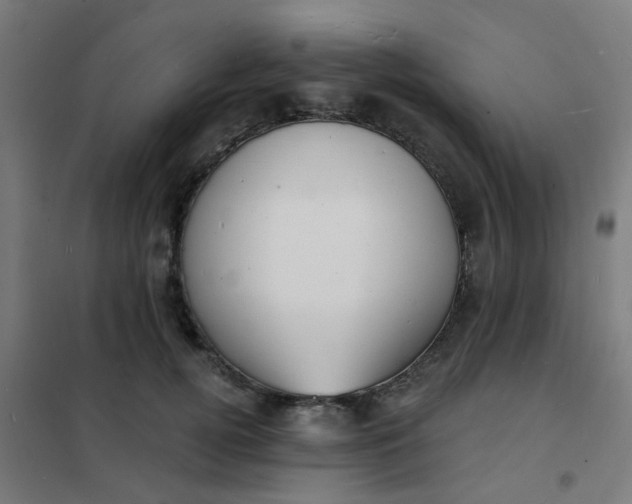 X0000101700752200807241431