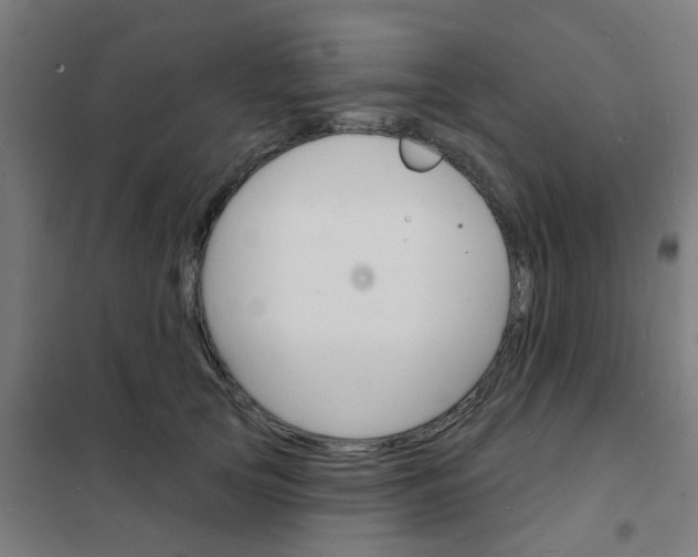 X0000101700753200807241432