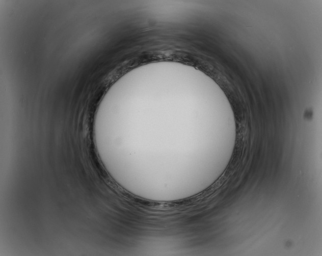 X0000101700754200807241432